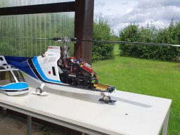 Modelle unserer Mitglieder