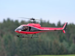 Modelle unserer Mitglieder