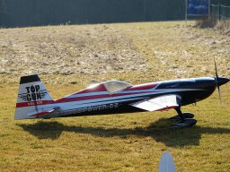 Modelle unserer Mitglieder