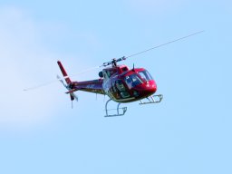 Modelle unserer Mitglieder