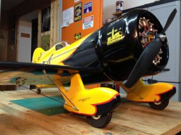 Modelle unserer Mitglieder