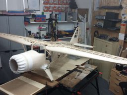 Modelle unserer Mitglieder